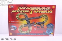 БТ Автотрек 'Параллельные гонки' 495 см. от сети
